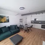 Apartament Rezydencja Borowice
