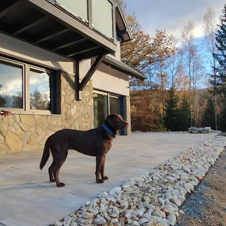 Rezydencja Borowice *