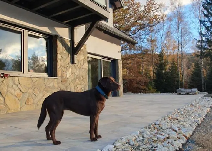 Rezydencja Borowice *